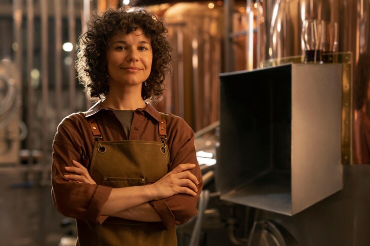 Crescimento do MEI no Brasil